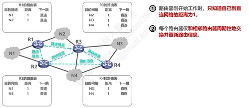 计算机网络 P4.2 网络层 中