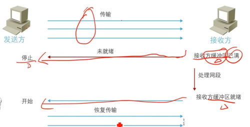 计算机网络实验 计算机网络与计网实验 一